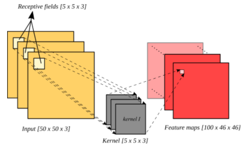 Receptive Field 1